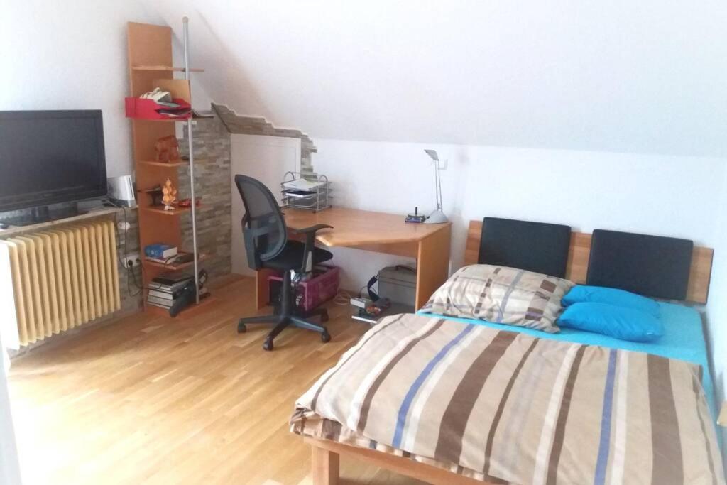 Neue, Helle Wohnung In Ludwigsburg, Nah Am Schloss Eksteriør billede